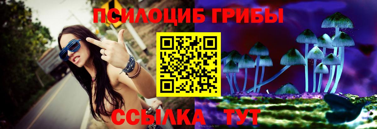 Псилоцибиновые грибы Cubensis Родники